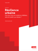 Rapport résilience - La Fabrique de la Cité