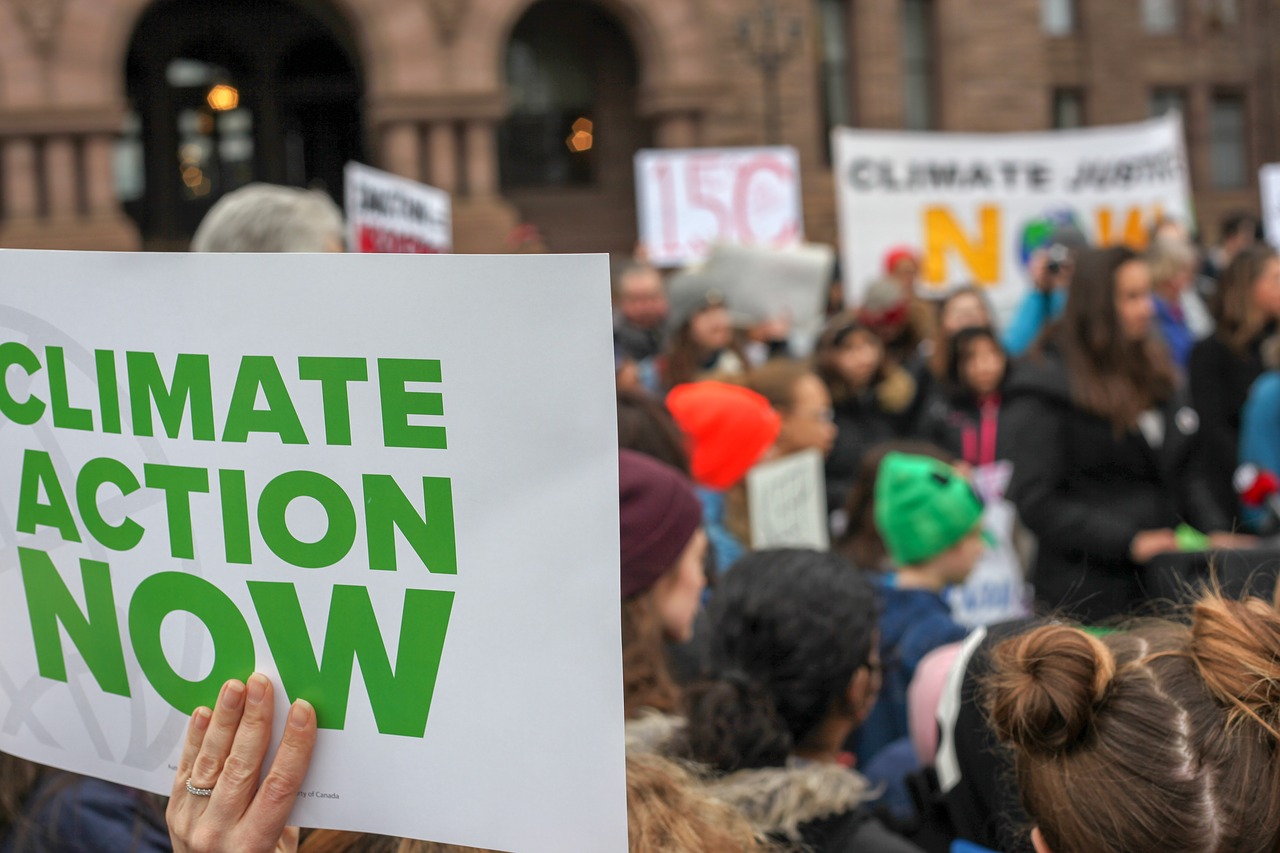 Manifestation pour le climat / Climate action